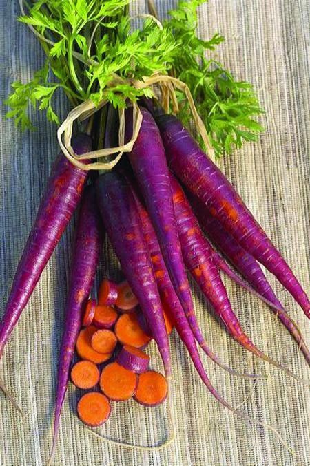 Drink Purple Carrot Juice