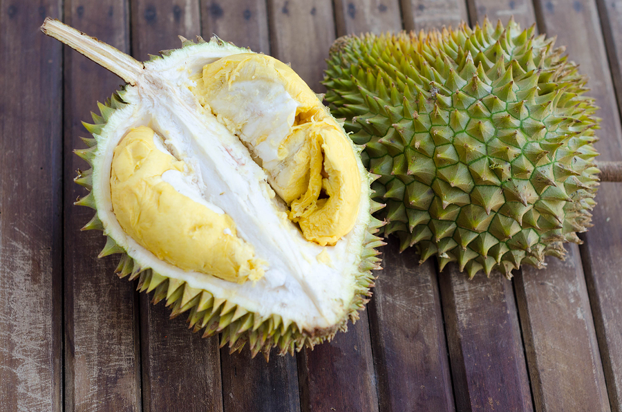 Open Durian 