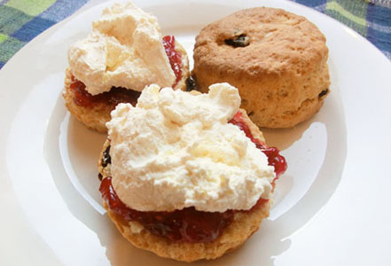 Sultana Scones