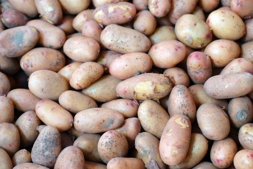 how long to boil jersey royal potatoes