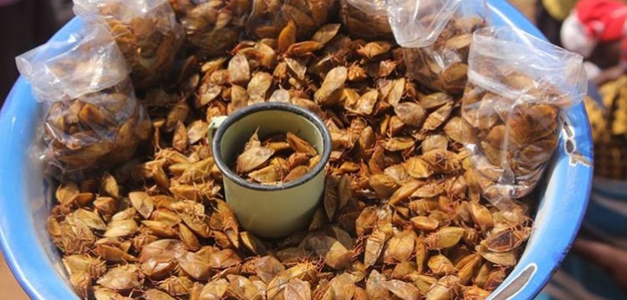 13 Weird Traditional Dishes in South Africa 13 Weird Traditional Dishes in South Africa