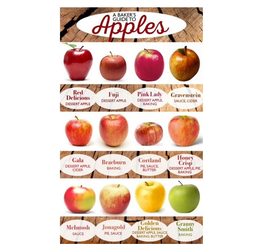 Types of apples Types of apples