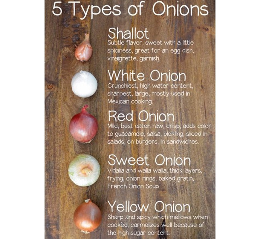 Types of onions Types of onions