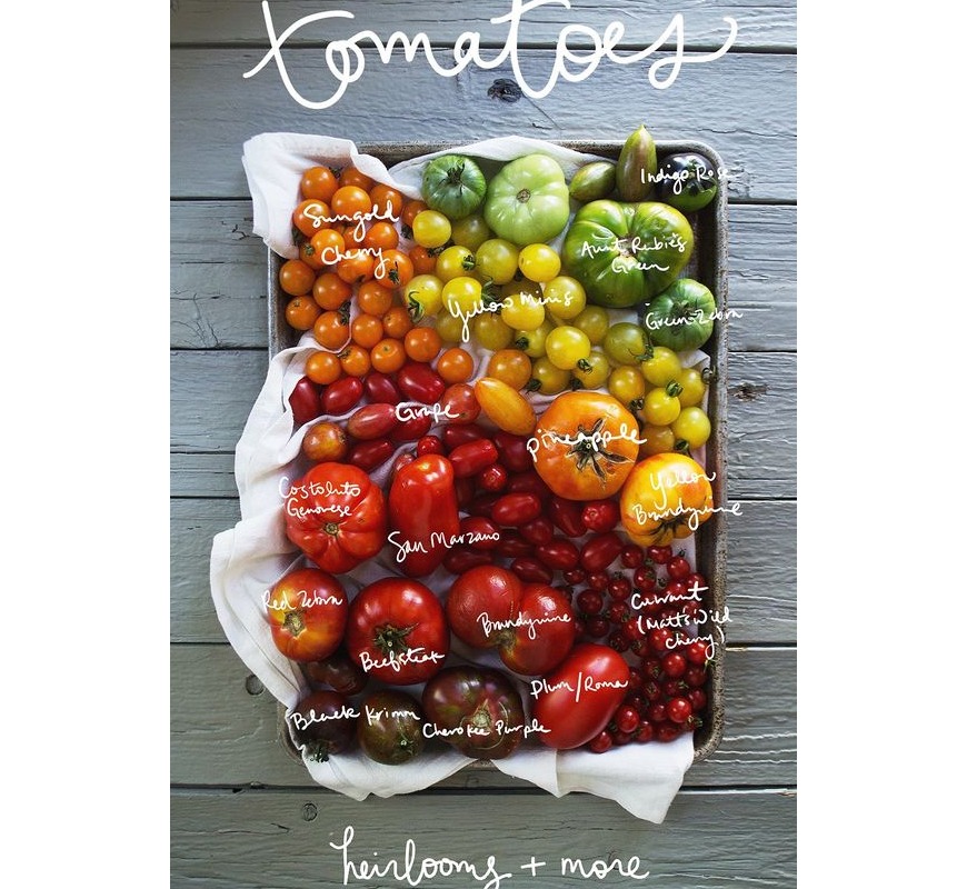 Types of tomatoes Types of tomatoes