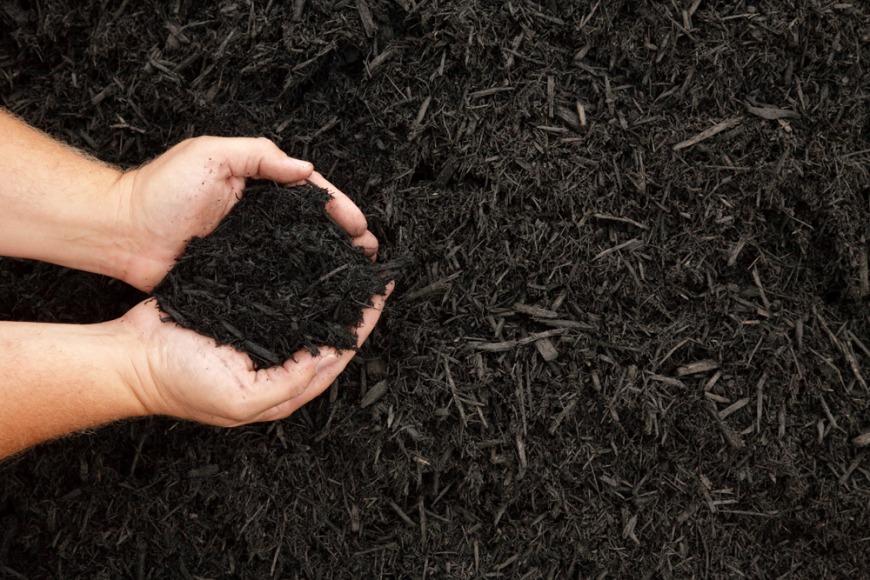 Compost Compost