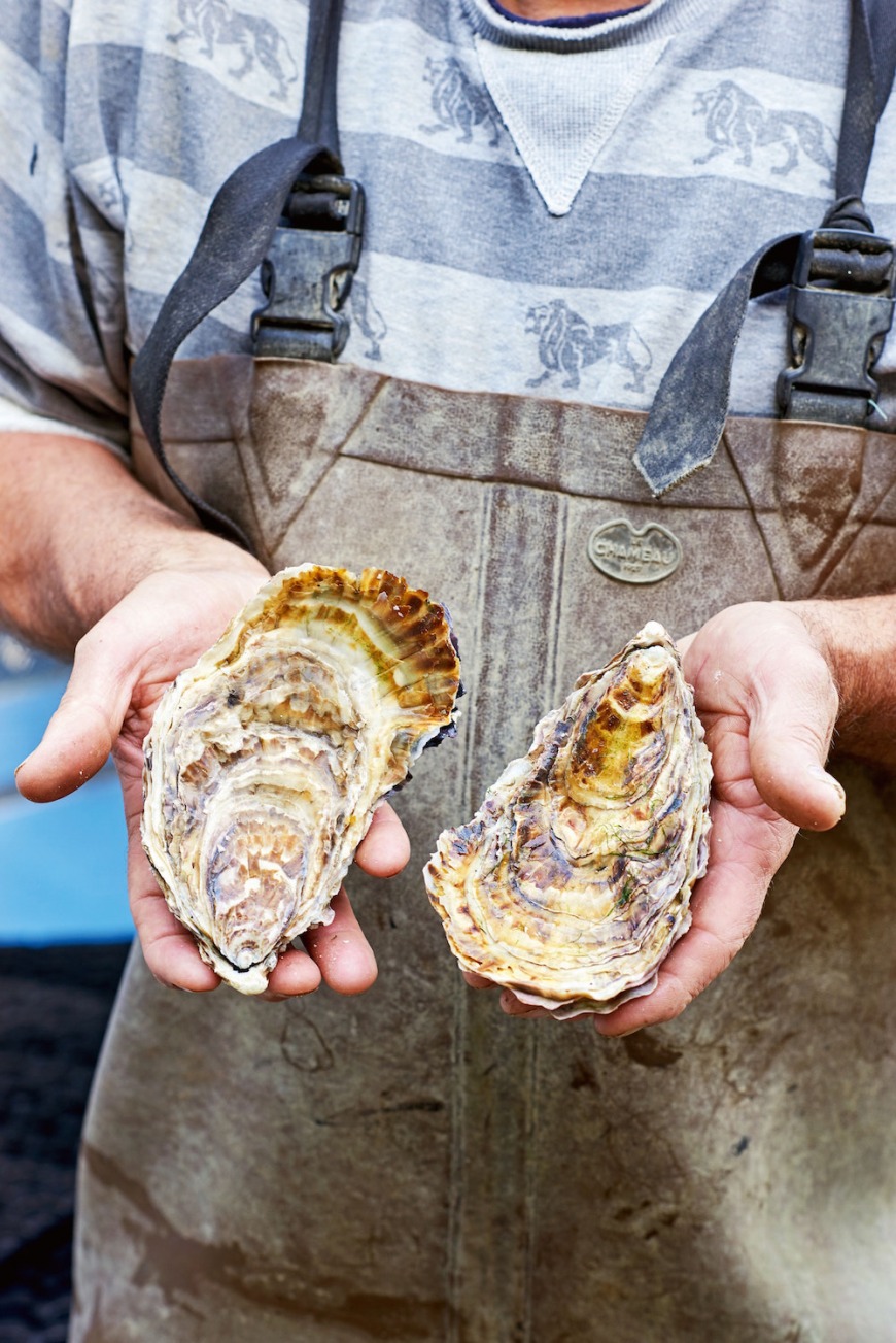  Beef Pies With Oysters