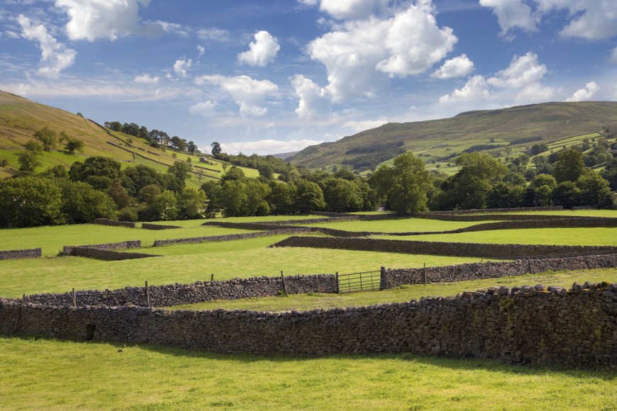 The fields of Swaledale