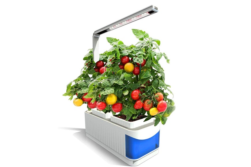 Smart Indoor Herb and Plant Garden Smart Indoor Herb and Plant Garden