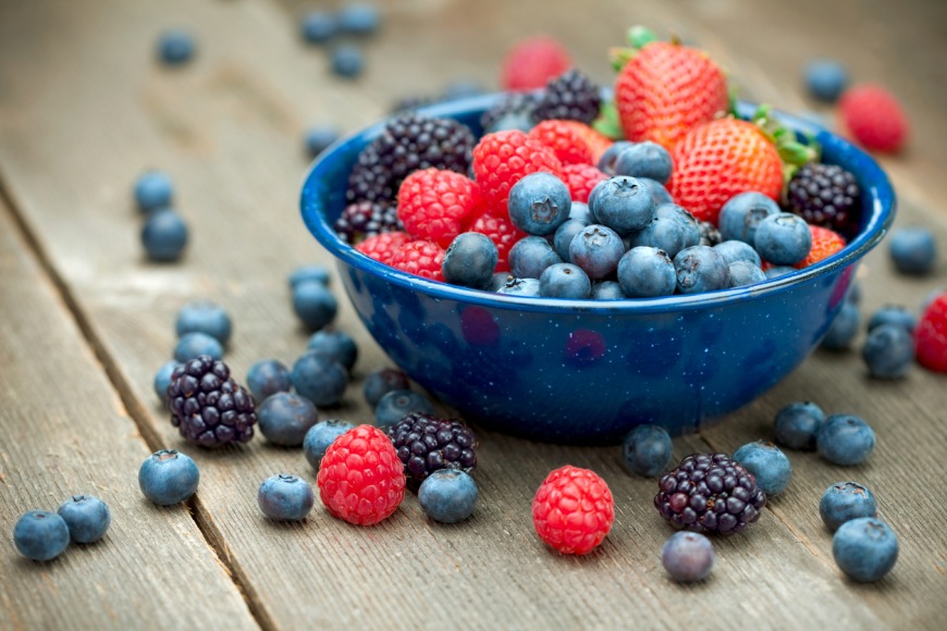 The Bulletproof Diet The Bulletproof Diet