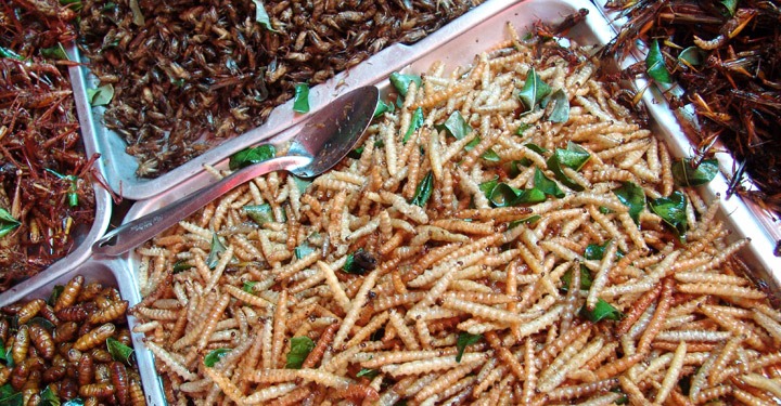 13 Weird Traditional Dishes in South Africa 13 Weird Traditional Dishes in South Africa