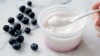Greek Yogurt is High in Protein