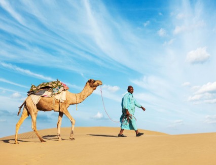 Camel Milk Here's the Scoop on the Latest Ice Cream Flavor